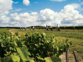 Louer des Velos en Charente Maritime.jpg